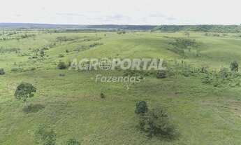 Imagem 6: Fazenda no Pará - Paragominas - 118 ha (24 alq