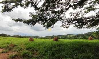 Imagem 6: Fazendinhas na regiao de Divinopolis