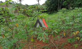 Imagem 4: Excelente chácara de 3000m²