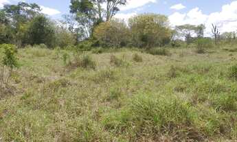 Imagem 7: Excelente fazendinha de , aproximadas, 30 tarefas, no capim, a margem de rio