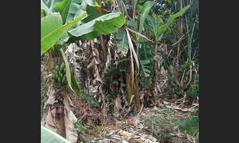 Imagem 5: Casa sítio em turmalina Entra no meu perfil tenho outras opções de terreno e chacara