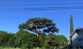 Imagem 5: LAJEADO - Terreno Padrão - Montanha