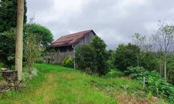 Imagem 2: Excelente área de terra com 4 hectares localizada no interior de Monte Belo do Sul / RS