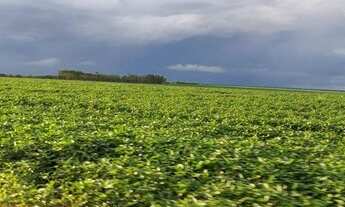 Imagem 3: Fazenda para Venda em Santa Rosa do Tocantins