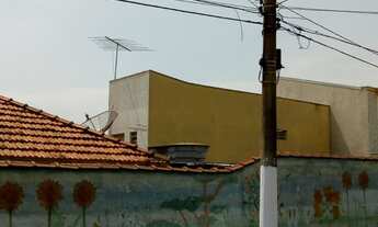 Imagem 6: São Paulo - Casa Comercial - Vila Divina Pastora