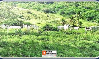 Imagem: SÍTIO de 55 TAREFAS - ESTÂNCIA