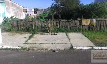 Imagem 6: Terreno, Primavera, Esteio