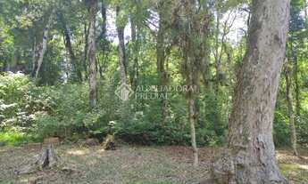 Imagem 7: GRAMADO - Terreno Padrão - Vila Moura