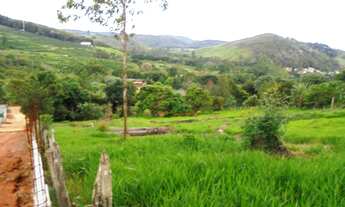 Imagem 4: VIçOSA - Chácara - Violeira