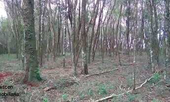 Imagem: CHACARA RESIDENCIAL em CASCAVEL - PR, SÃO