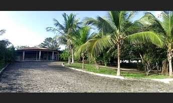 Imagem 2: Sítio com área de 12.420 metros quadrados- investimento