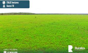 Imagem: Fazenda com dupla aptidão e 730,02 hectares