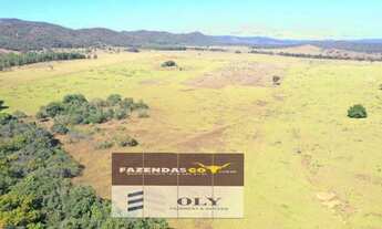 Imagem 4: Fazenda Impecável em Uruaçu ! 203 Alqueires ! Oportunidade !