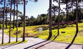 Imagem 3: CURITIBA - Terreno Padrão - Campo Comprido