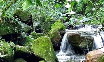 Imagem: Área de terra com 14,8 hectares, com casa