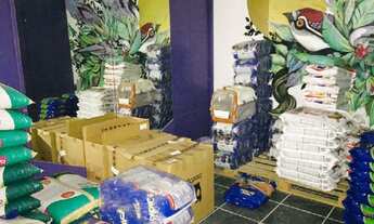 Imagem 6: PORTO ALEGRE - Loja/Salão - BOM FIM