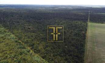 Imagem 3: Fazenda 132,5 Alqueires, Palmas, TO