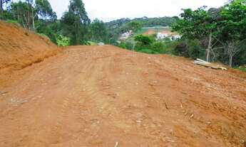 Imagem 2: VIçOSA - Chácara - Violeira