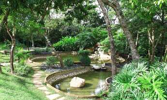 Imagem 4: Lote/Terreno de 390m² no Belvedere 1