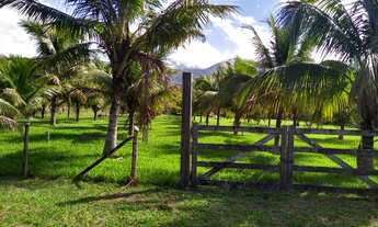 Imagem 2: VENDO EXCELENTE ÁREA