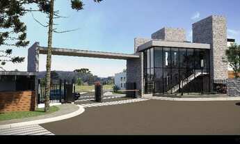 Imagem 2: FARROUPILHA - Terreno Padrão - São Marcos