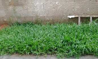 Imagem 3: Casa no bairro Tiradentes com 2/4, sala cozinha tipo americana .......: