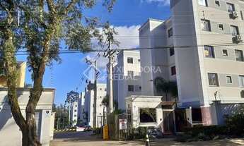 Imagem 2: NOVO HAMBURGO - Apartamento Padrão - Operário