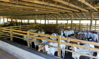 Imagem 6: IMARUí - Sítio - vargem rio duna