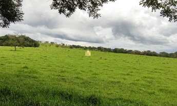 Imagem 3: Fazendinhas na regiao de Divinopolis