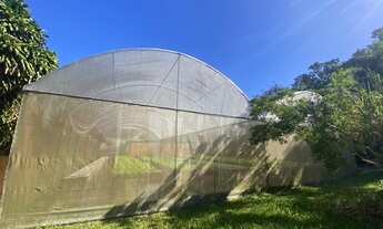 Imagem: FLORIANóPOLIS - Terreno Padrão - São