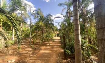 Imagem 6: Chácara escriturada Incra 07 são 5 hectares MCIMOVEIS