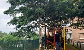 Imagem 4: Apartamento 2 dormitório, cozinha americana, sala ampla, ótima localização