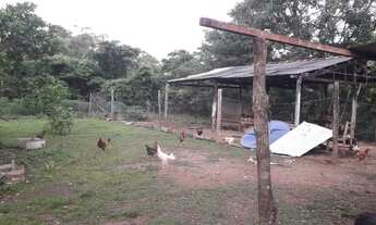 Imagem 6: Sítio na região da serragem sentido Cáceres