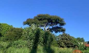 Imagem 2: LAJEADO - Terreno Padrão - Montanha