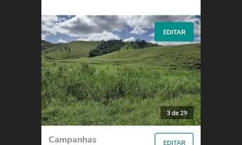 Imagem 4: Fazendinha em Rio Preto (M.G.) 65 Hectares