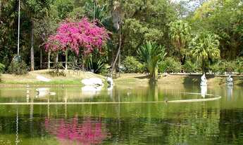 Imagem 6: Loja de Galeria com Giral no Ponto Cem Réis