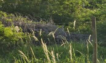 Imagem 4: Lotes no Veredas