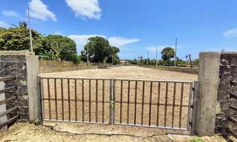 Imagem 4: HARAS em Caucaia para venda