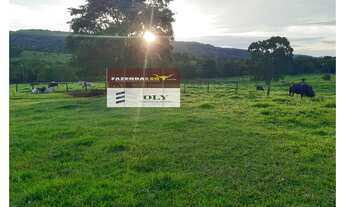 Imagem 3: Oportunidade ! Fazenda Extra Região de Iporá ! 32 Alqueires !