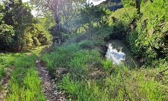 Imagem 7: Área de terras com 6,4 hectares, dos quais 3,0 hectares com videiras