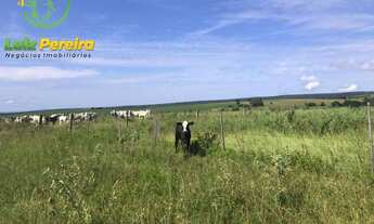 Imagem 2: FAZENDA À VENDA EM CORGUINHO - MS - 1.063 HECTARES (DUPLA APTIDÃO
