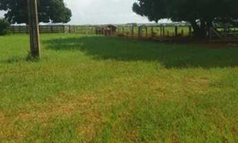 Imagem 5: Fazenda região manso sentido bom jardim