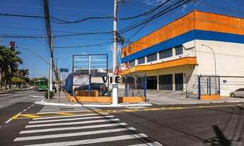 Imagem 3: Excelente Galpão Vila Leopoldina