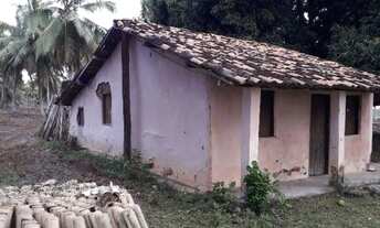 Imagem 5: Terreno Rural 49 tarefas, Conde Bahia