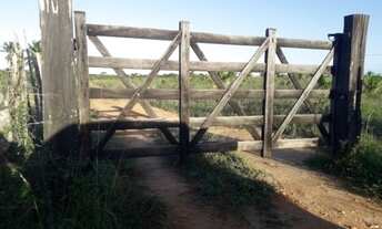 Imagem: Fazenda 87,31 tarefas em Conde