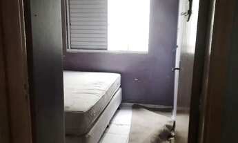 Imagem 5: Vendo ou troco aparramento, viamao