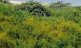 Imagem 4: Casa com 4 dormitórios à venda, 240 m² por R$ 980.000,00 - Morada de Interlagos - Vila Vel