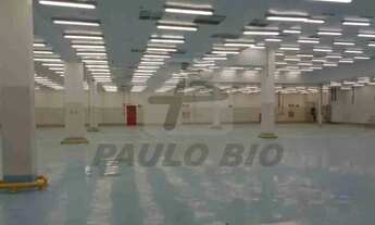 Imagem 6: BAURU - Galpão/Depósito/Armazém - Distrito Industrial Domingos Biancardi