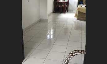 Imagem 4: Vendo Casa em Mangabeira 4