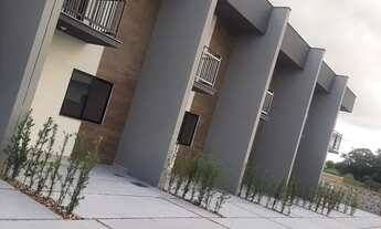 Imagem 2: GEMINADO GUARAMIRIM